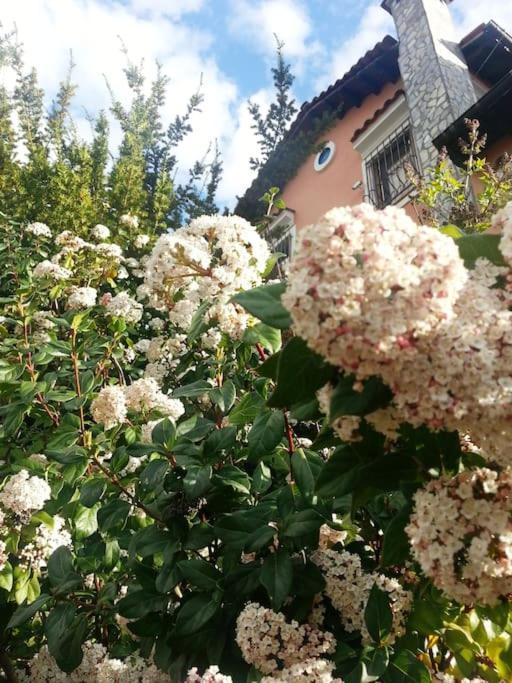 Villa Tethys Mountain Resort Zákas Eksteriør bilde